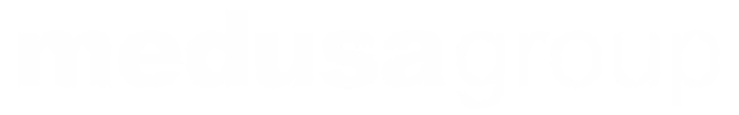 CEO MEDUSA GROUP