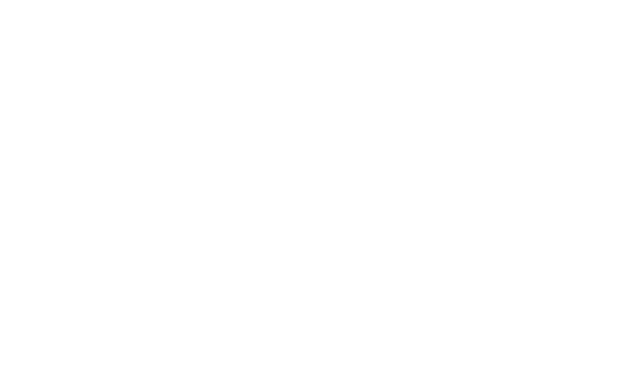 Politechnika